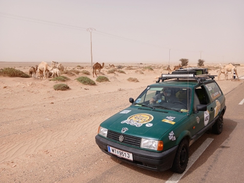  So sieht es aus, wenn POTHOLer unterwegs sind